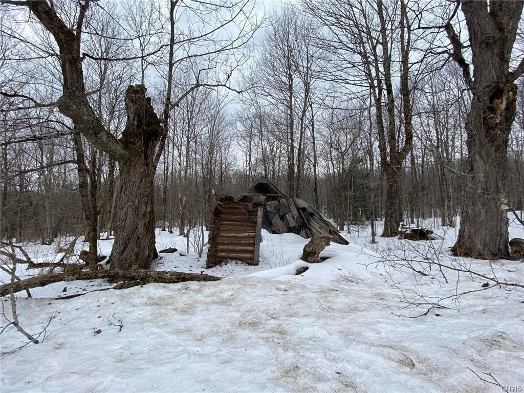 Salisbury, Herkimer County, NY House for sale Property ID 412792142