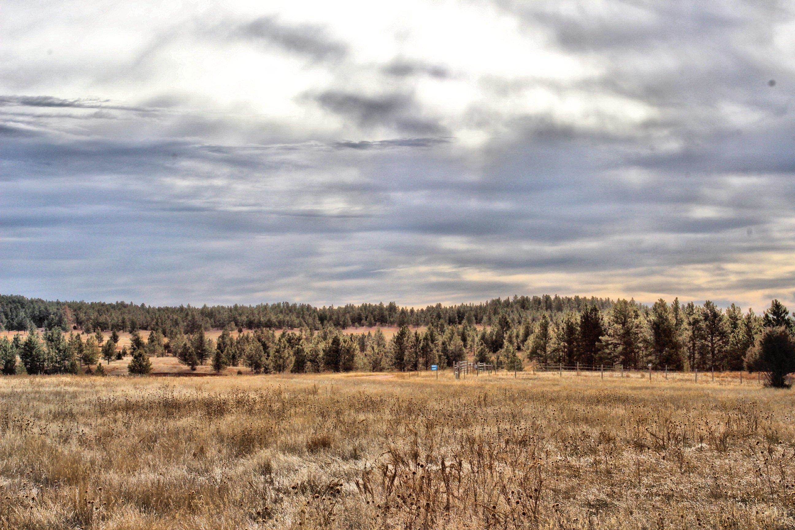 Custer, Custer County, SD Undeveloped Land for sale Property ID