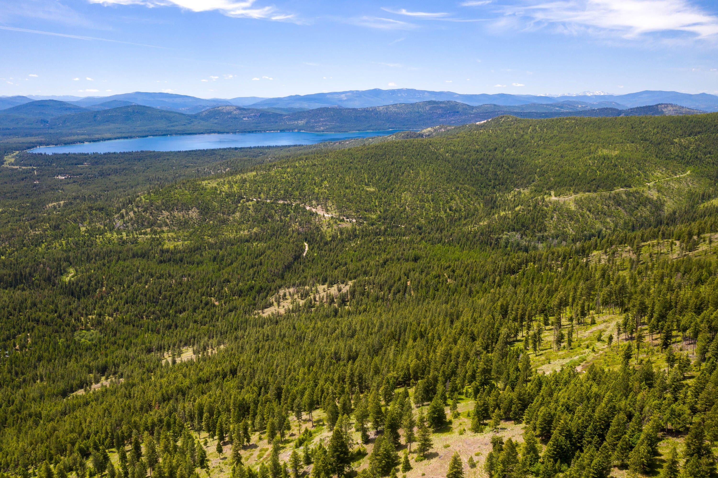 Marion, Flathead County, MT Undeveloped Land for sale Property ID