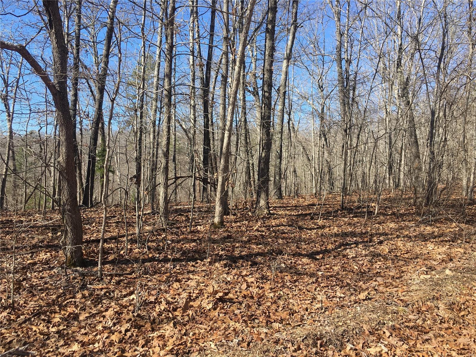Ellington, Reynolds County, MO Undeveloped Land, Homesites for sale