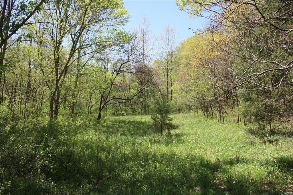 Defiance, Saint Charles County, MO Undeveloped Land for sale Property