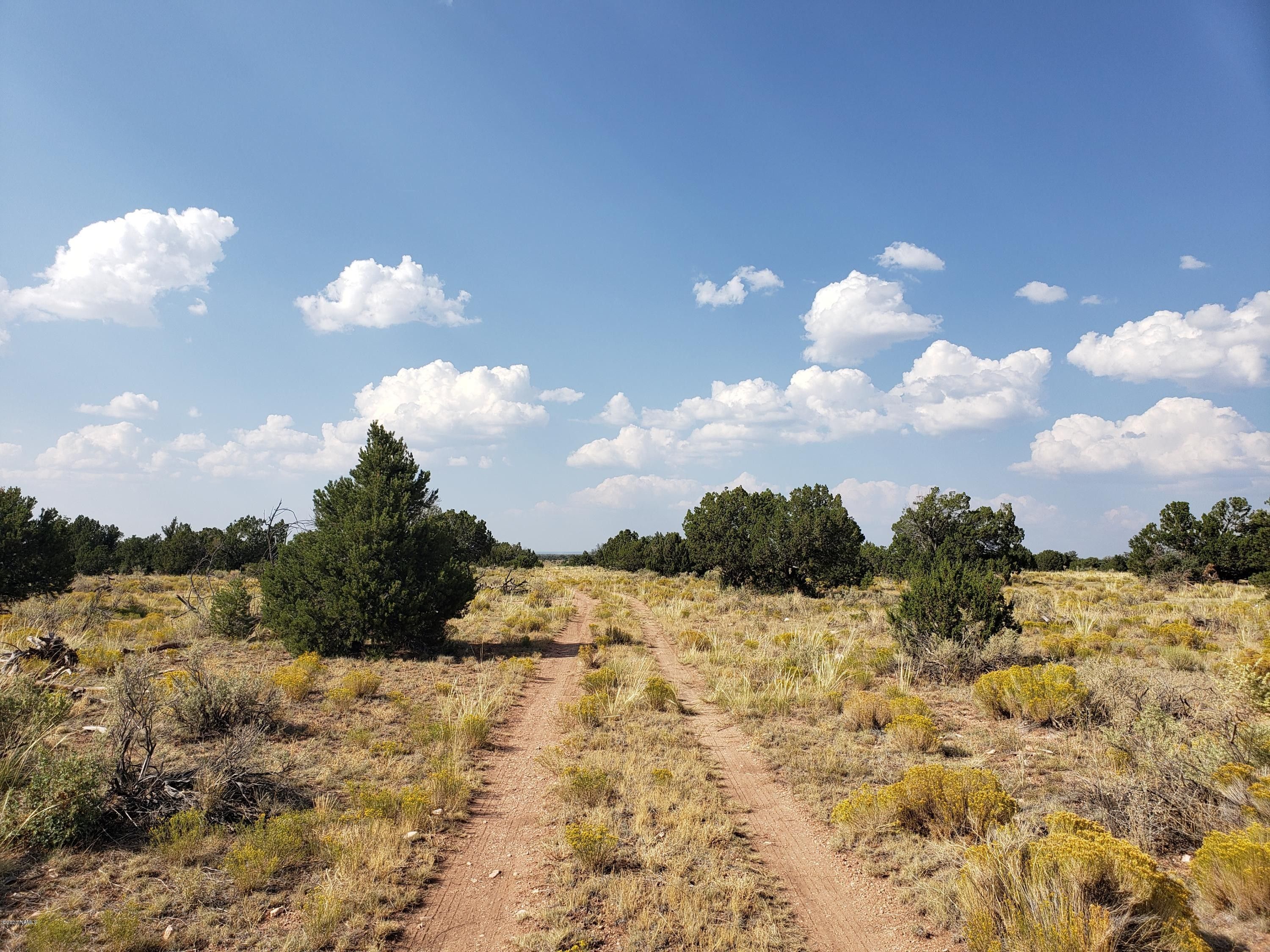 Williams, Coconino County, AZ Undeveloped Land, Homesites for sale