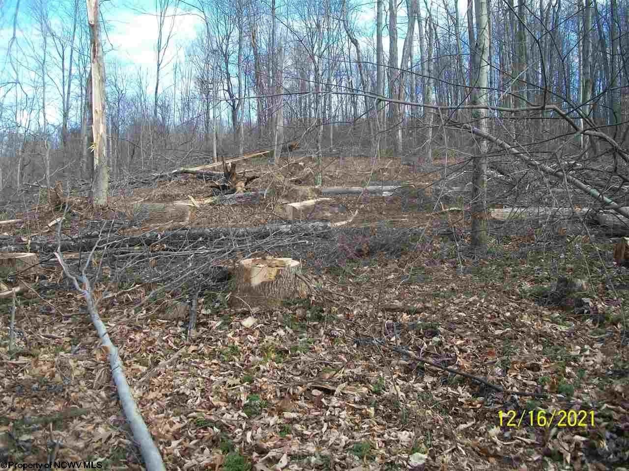 Belington, Barbour County, WV Undeveloped Land, Lakefront Property