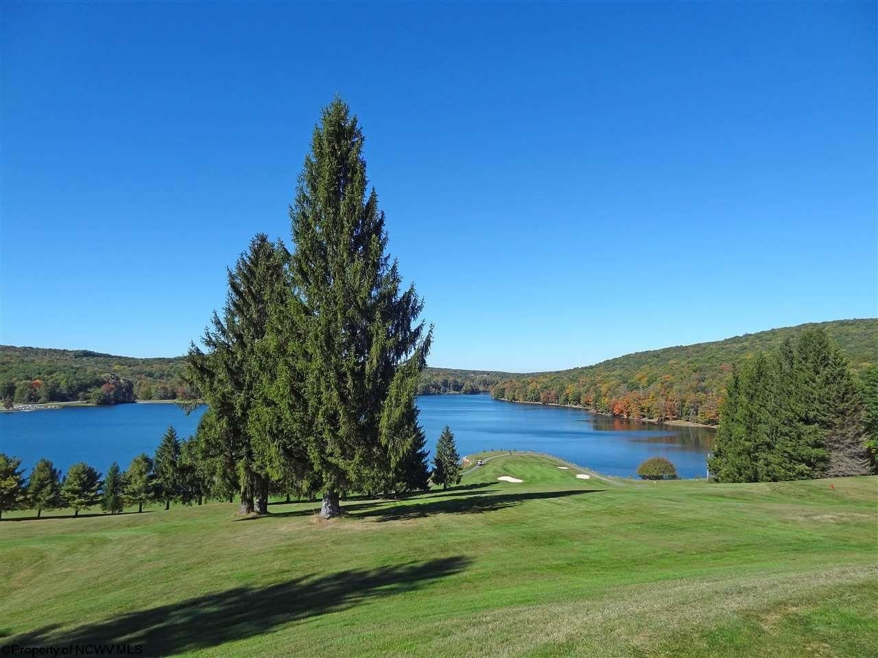 Terra Alta, Preston County, WV Undeveloped Land, Lakefront Property