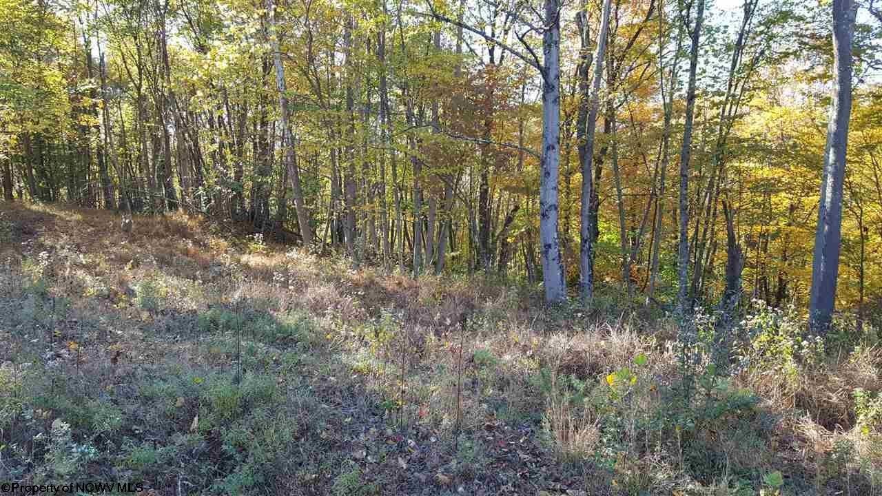 Lake Lynn, Fayette County, PA Undeveloped Land for sale Property ID 339147621 LandWatch