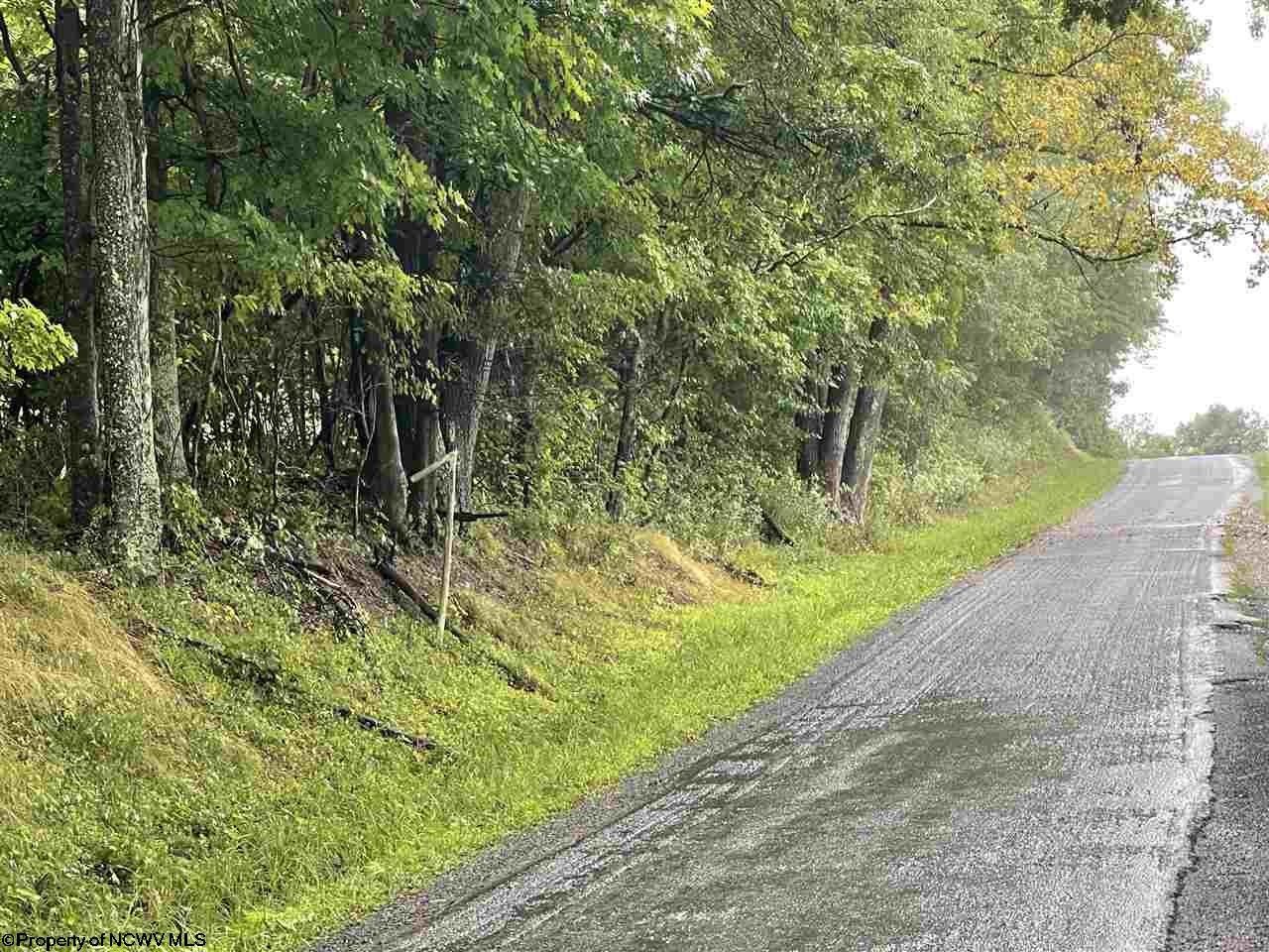 Philippi, Barbour County, WV Undeveloped Land, Lakefront Property