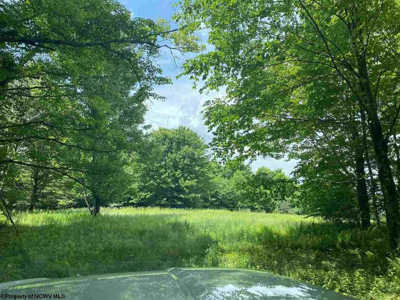 Slaty Fork, Pocahontas County, WV Undeveloped Land, Lakefront Property