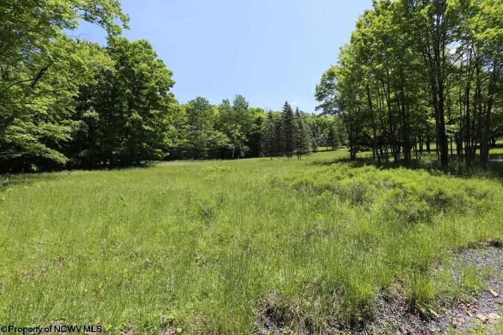 Davis, Tucker County, WV Undeveloped Land, Lakefront Property