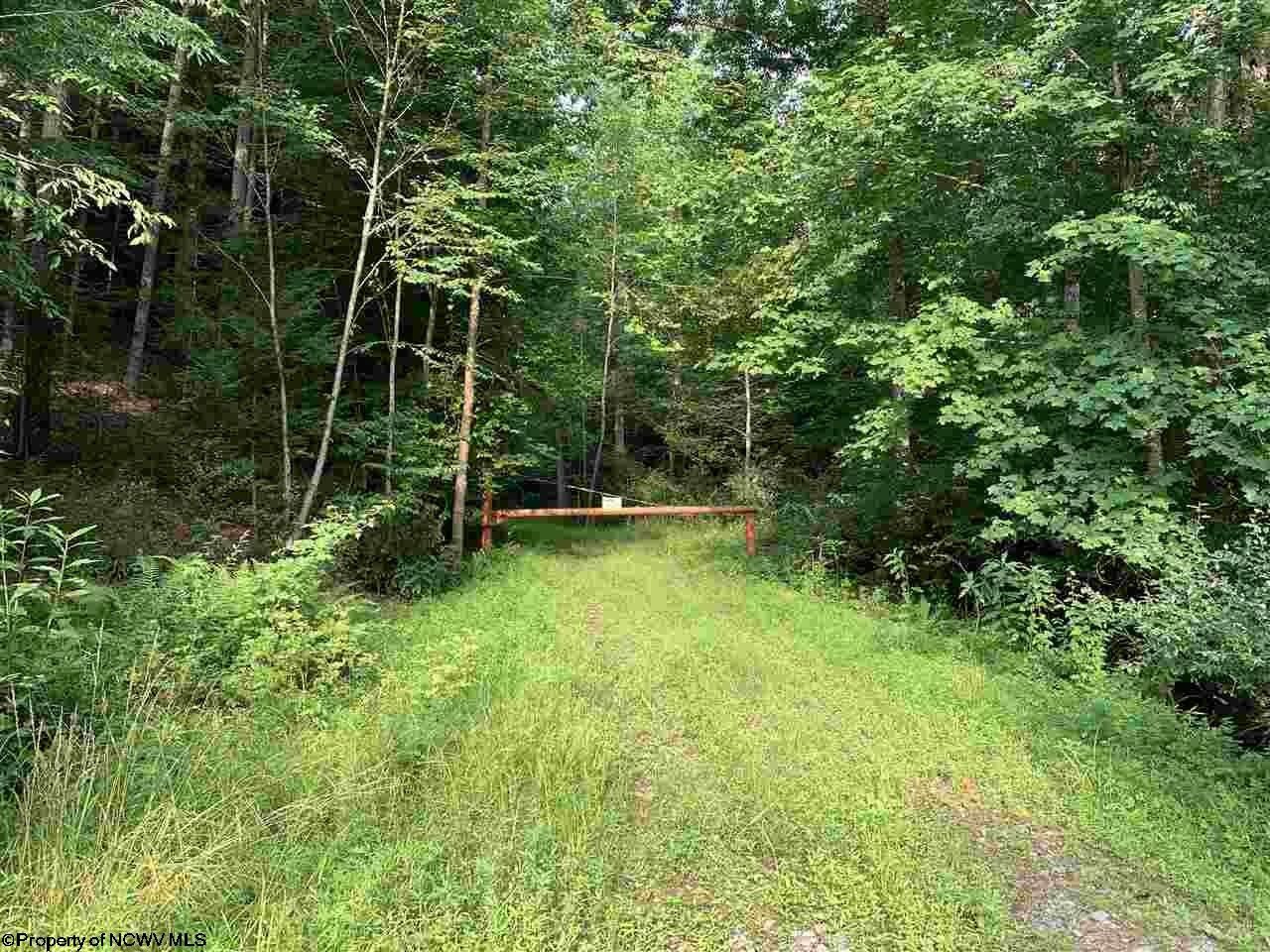 Webster Springs, Webster County, WV Farms and Ranches, Lakefront