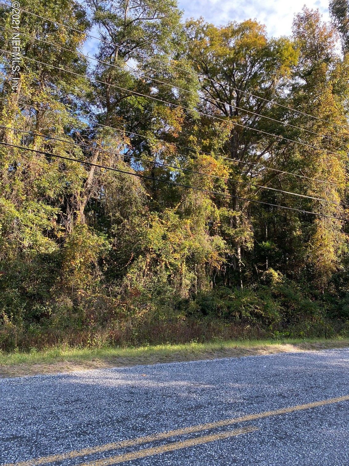 Yulee, Nassau County, FL Undeveloped Land, Homesites for sale Property