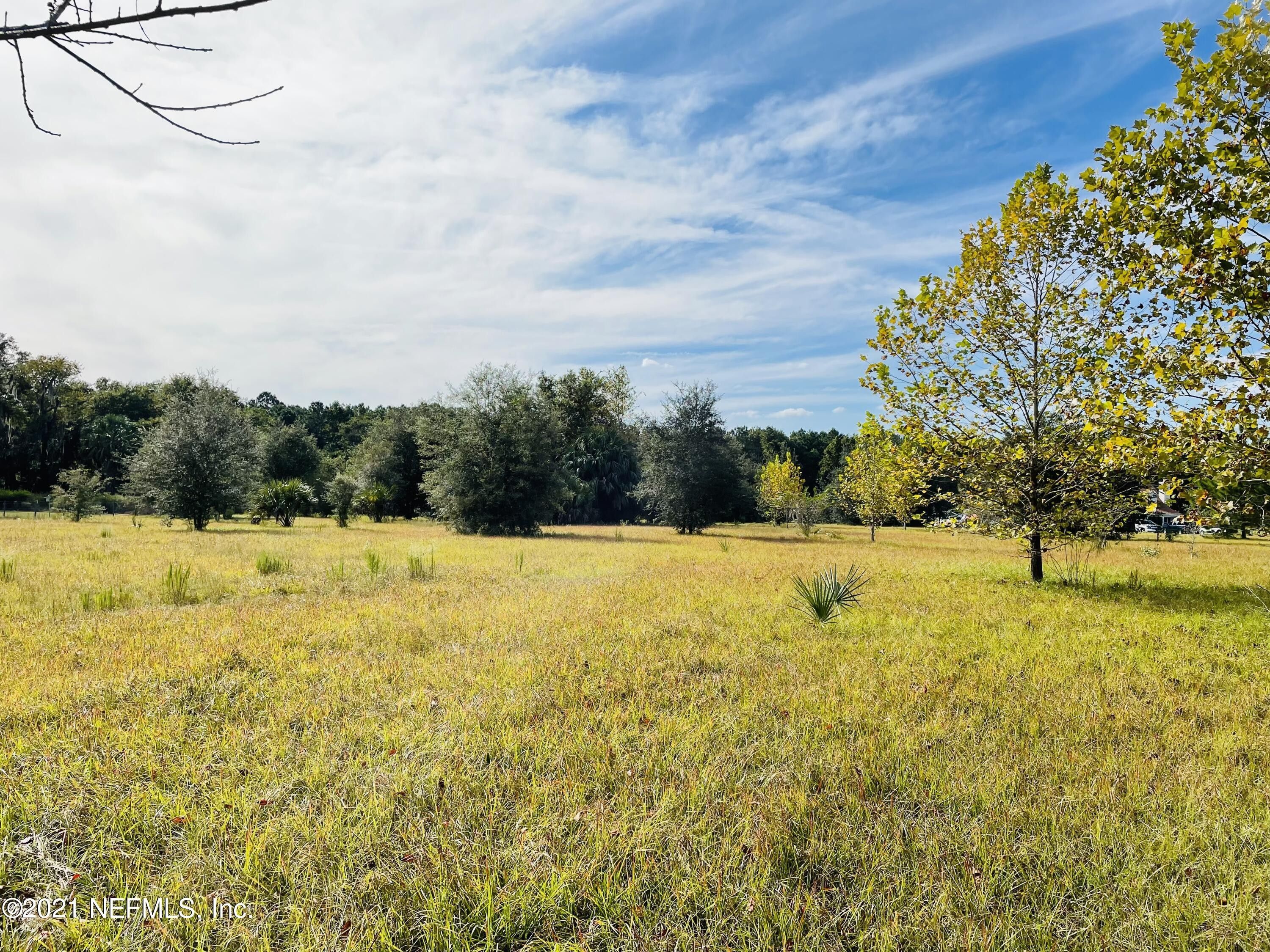 Palatka, Putnam County, FL Undeveloped Land for sale Property ID 411989061 LandWatch
