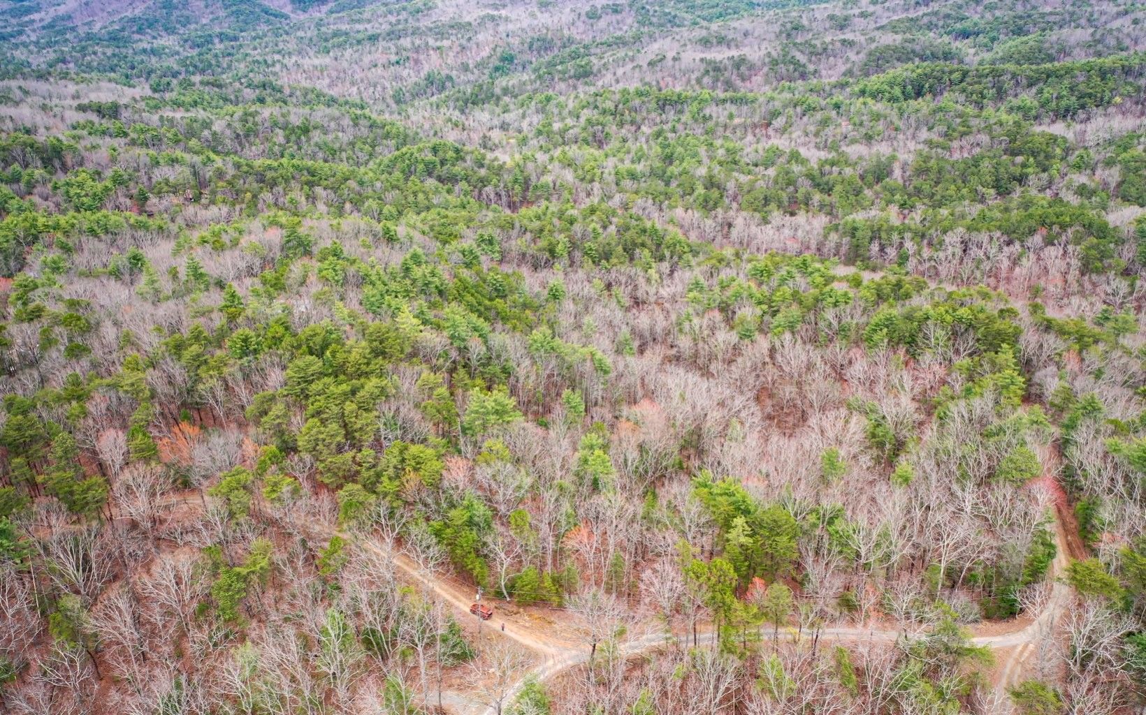 Chatsworth, Murray County, GA Undeveloped Land for sale Property ID