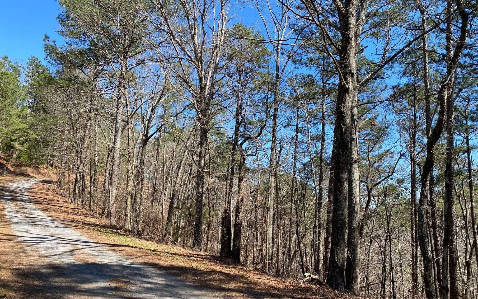 Ranger, Gordon County, GA Undeveloped Land, Homesites for sale Property