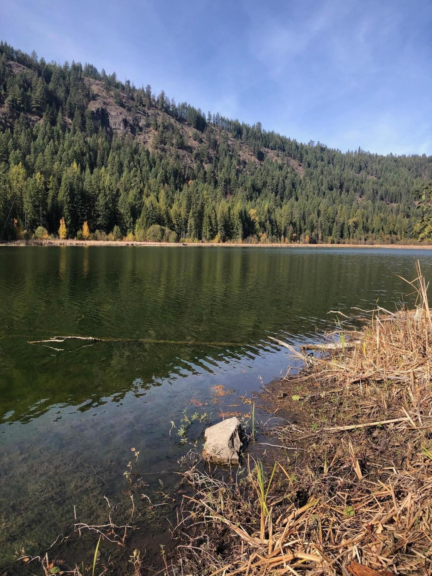 Colville, Stevens County, WA Undeveloped Land, Lakefront Property