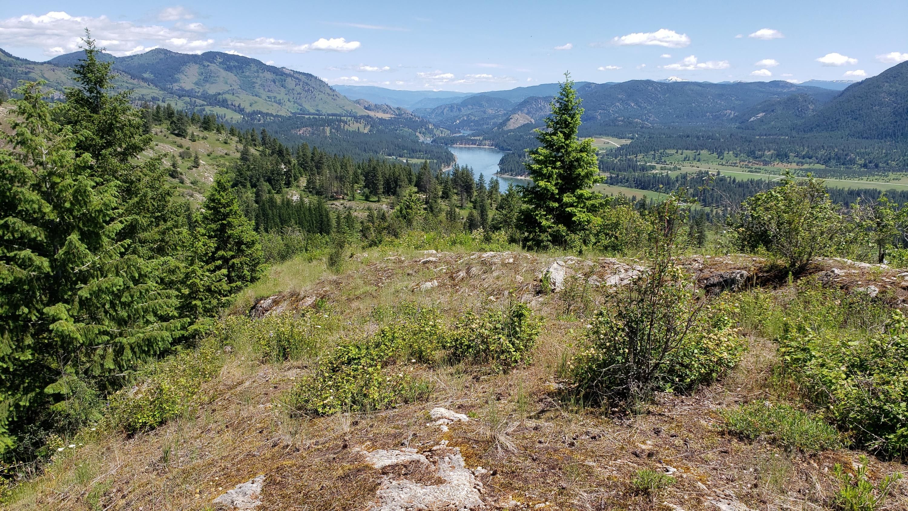 Kettle Falls, Stevens County, WA Undeveloped Land for sale Property ID