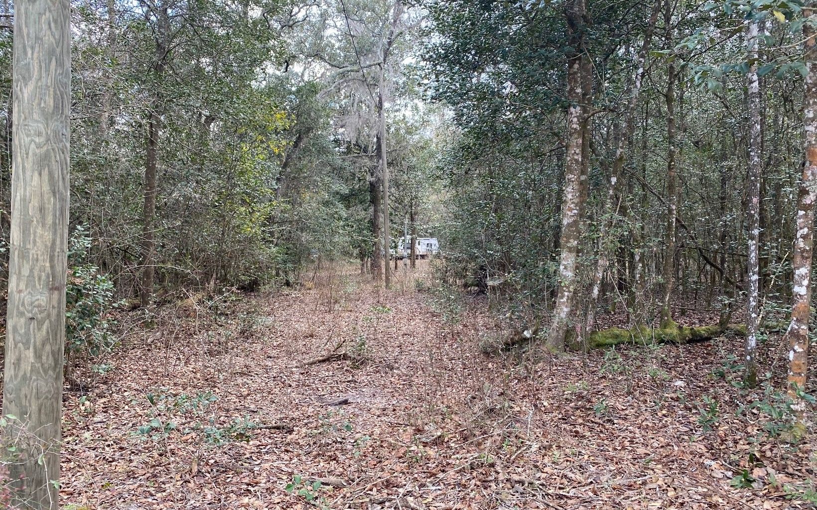 Jennings, Hamilton County, FL Undeveloped Land, Homesites for sale