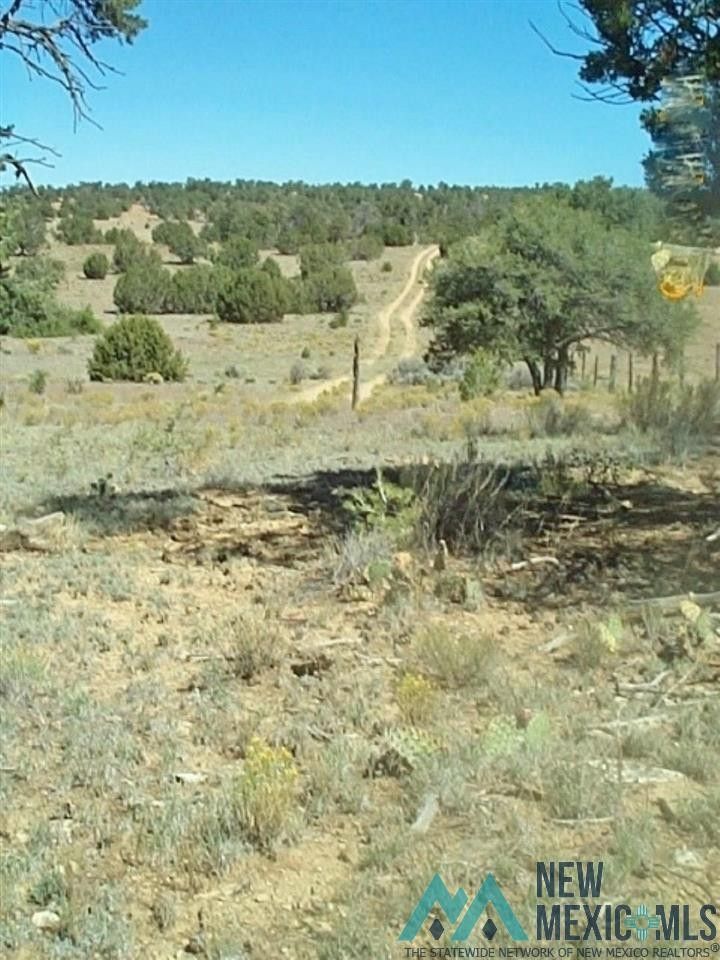 Ramah, Cibola County, NM Farms and Ranches for sale Property ID