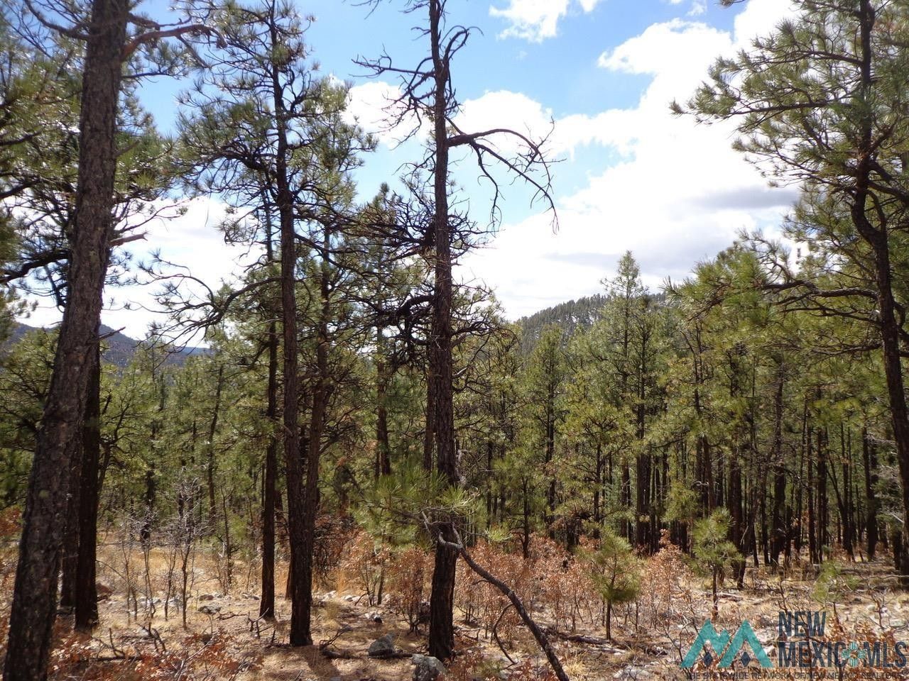 Guadalupita, Mora County, NM Homesites for sale Property ID 412971128