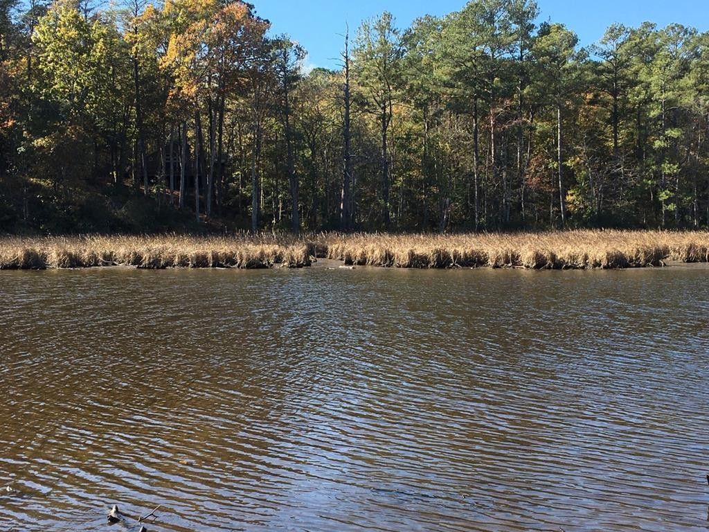 Heathsville, Northumberland County, VA Homesites for sale Property ID