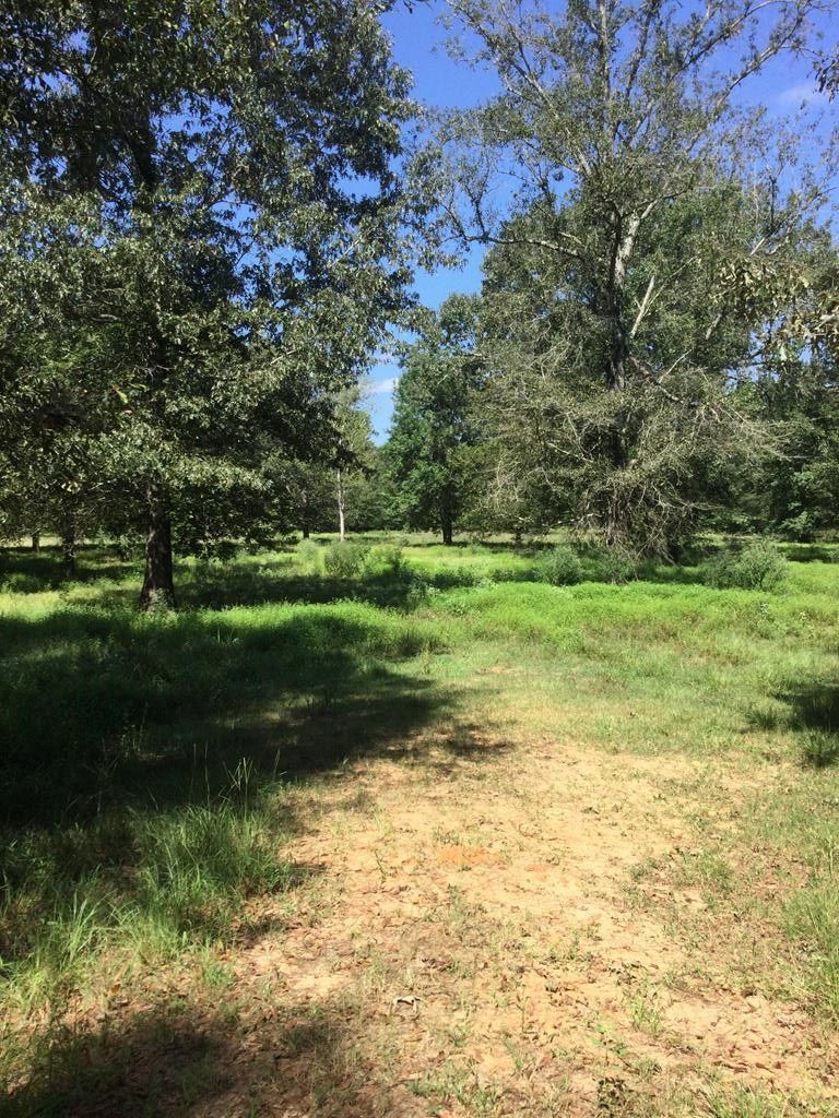 Nacogdoches, Nacogdoches County, TX Undeveloped Land for sale Property