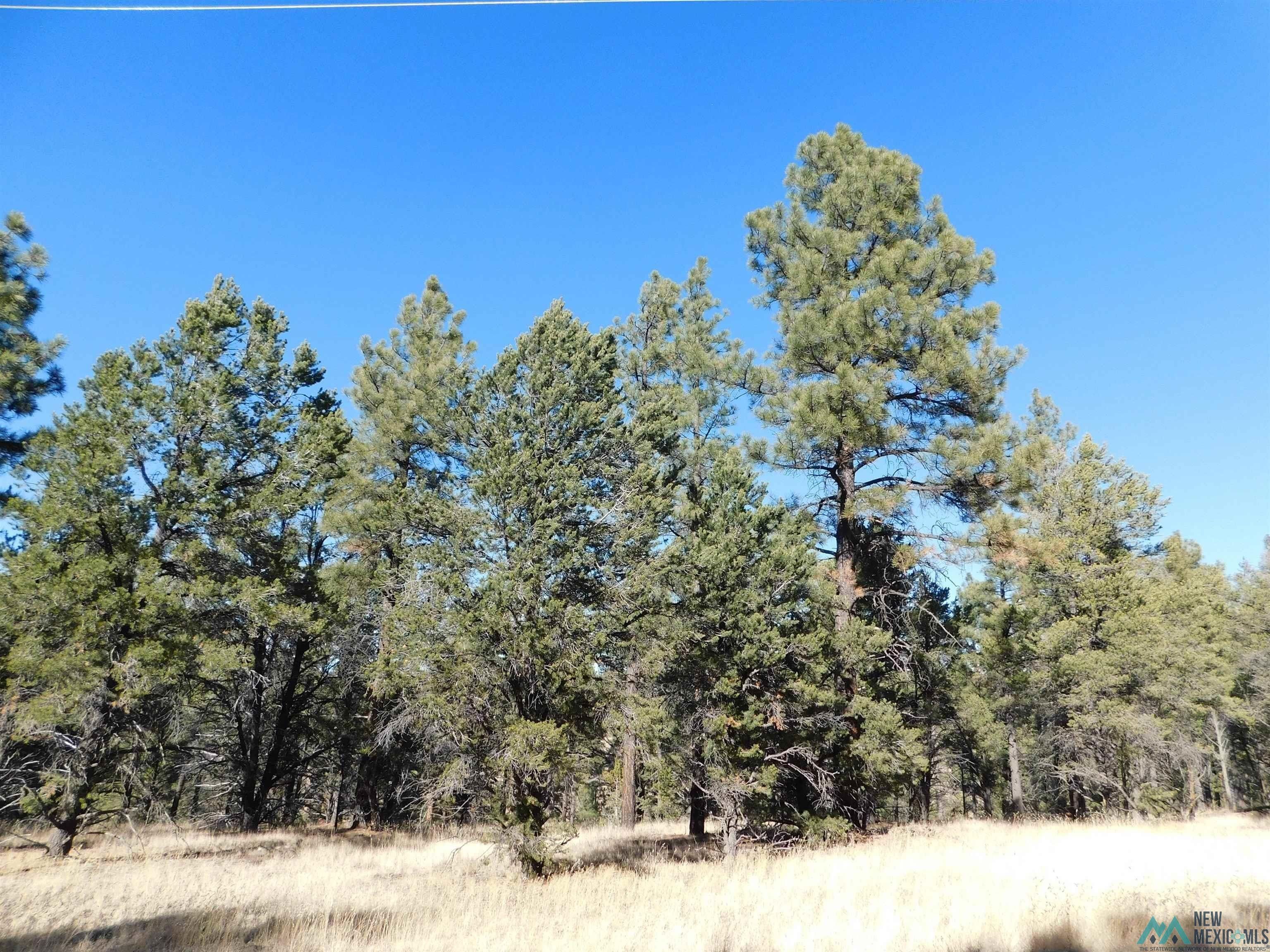 Quemado, Catron County, NM Homesites for sale Property ID 412679800
