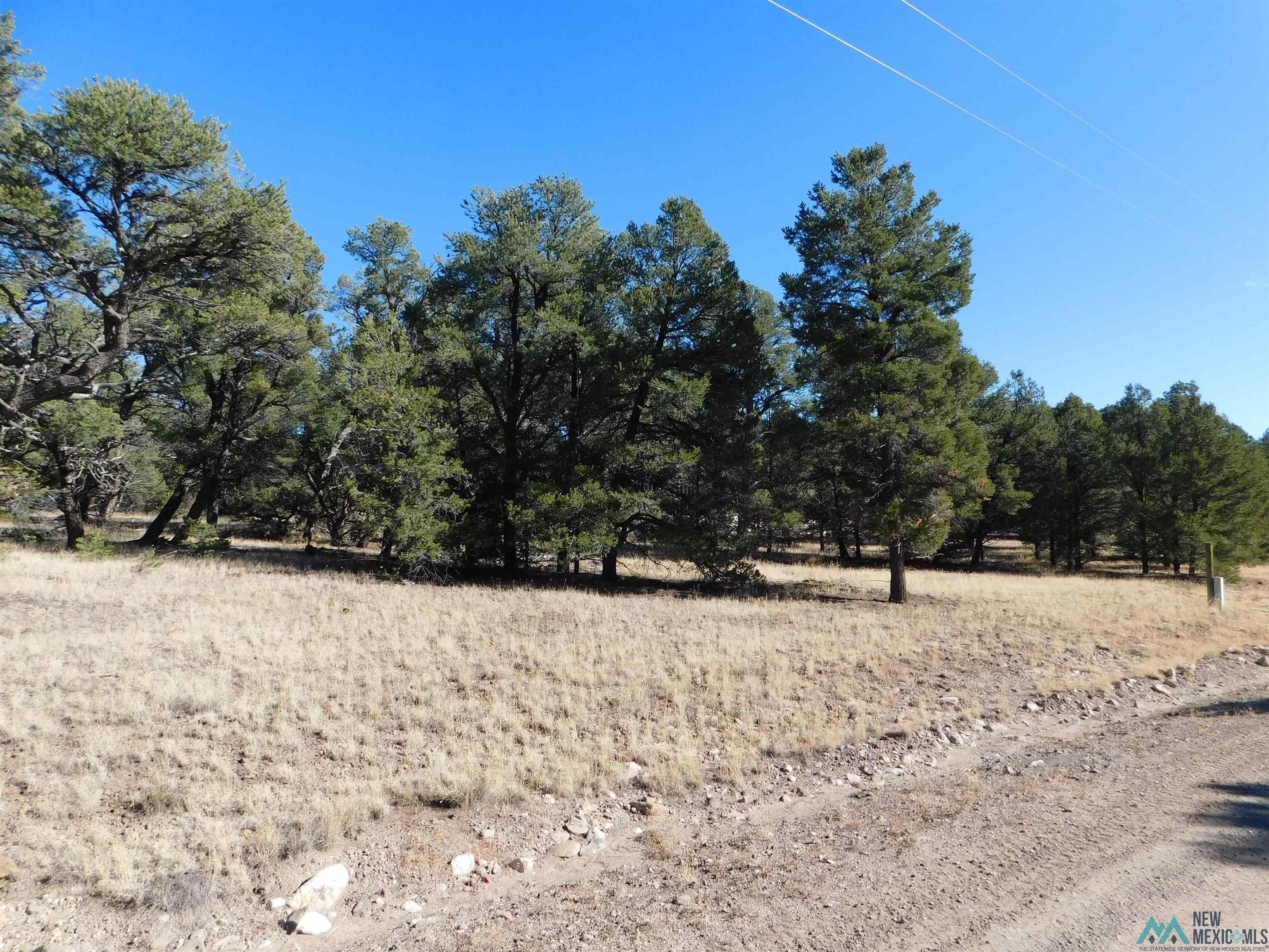Quemado, Catron County, NM Homesites for sale Property ID 412679797 LandWatch