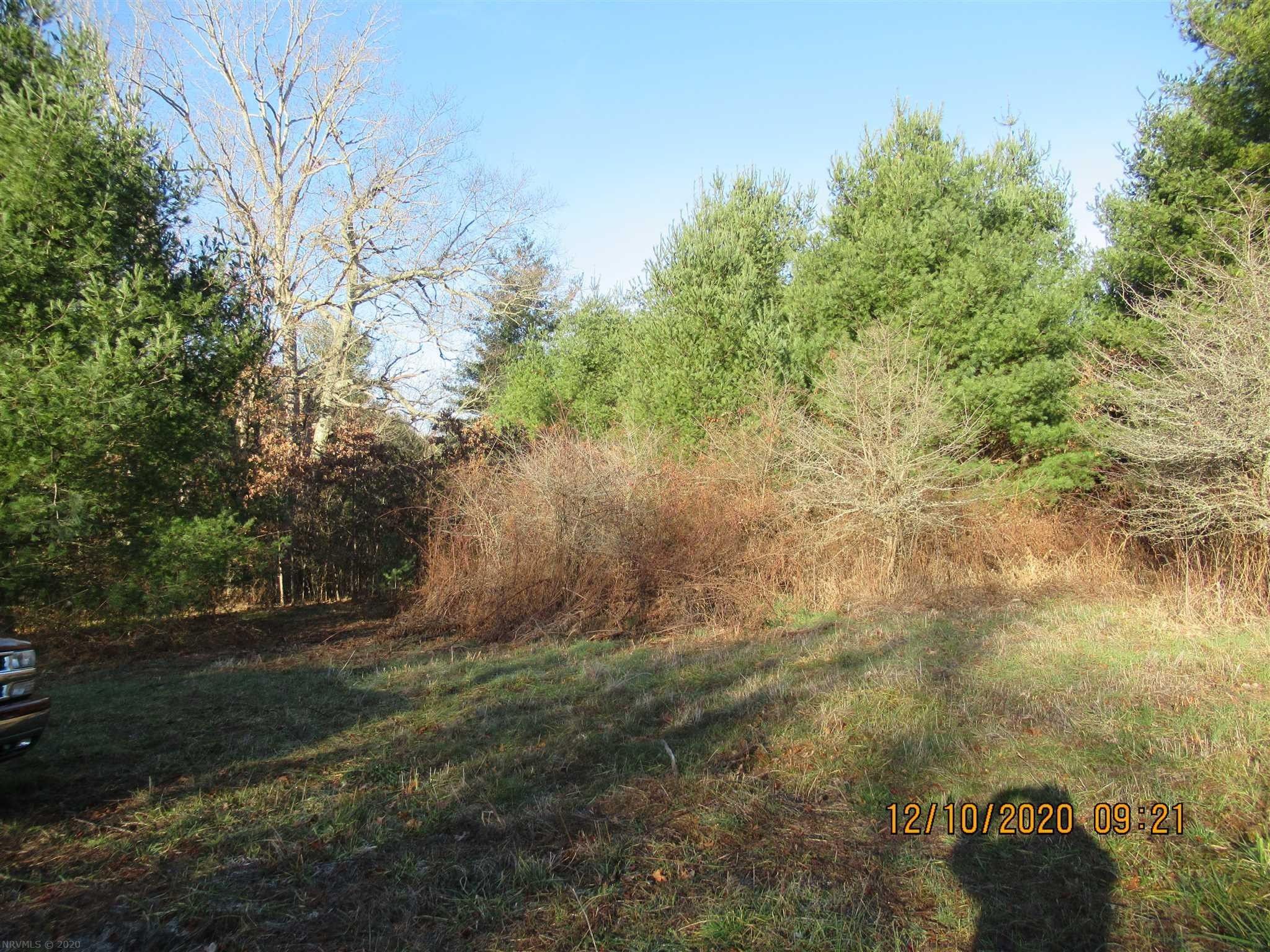 Willis, Floyd County, VA Undeveloped Land for sale Property ID