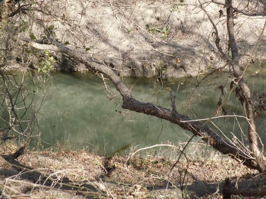 Dawson, Navarro County, TX Undeveloped Land for sale Property ID