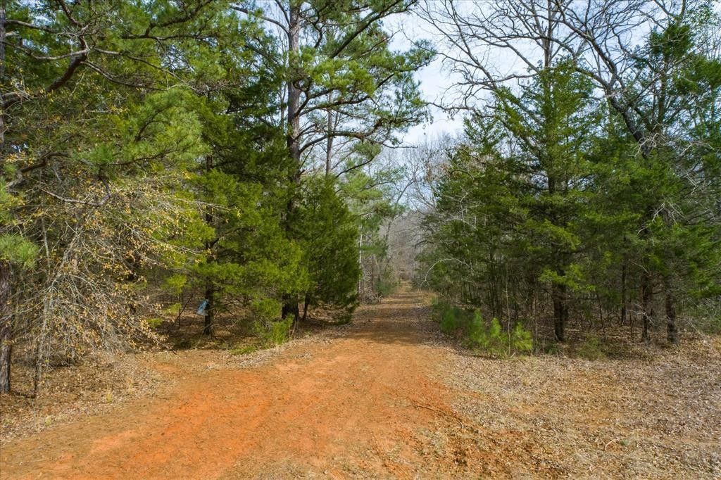 Ben Wheeler, Van Zandt County, TX Undeveloped Land, Lakefront Property