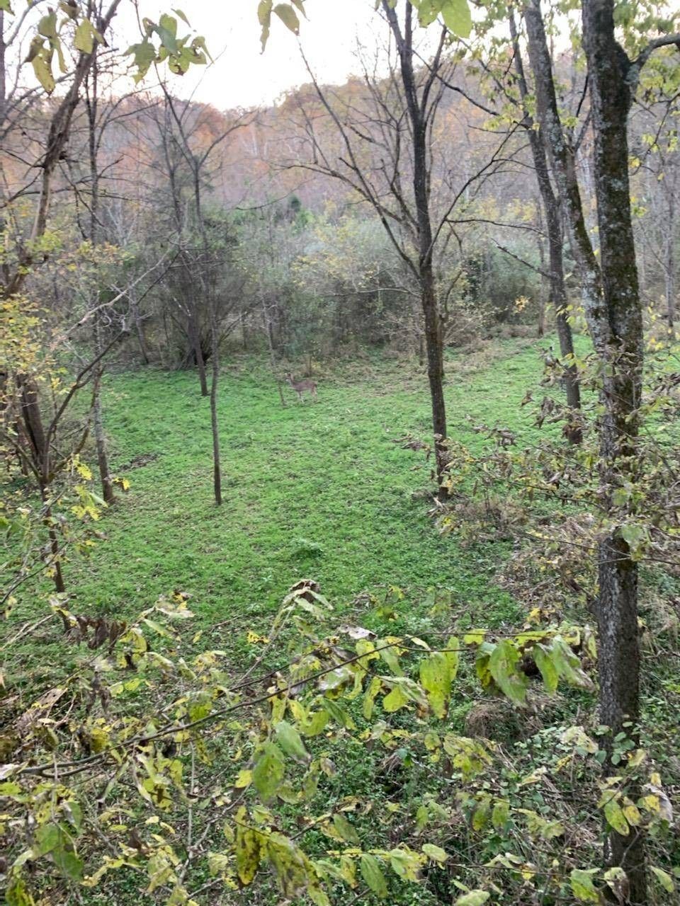 Peebles, Adams County, OH Undeveloped Land, Lakefront Property