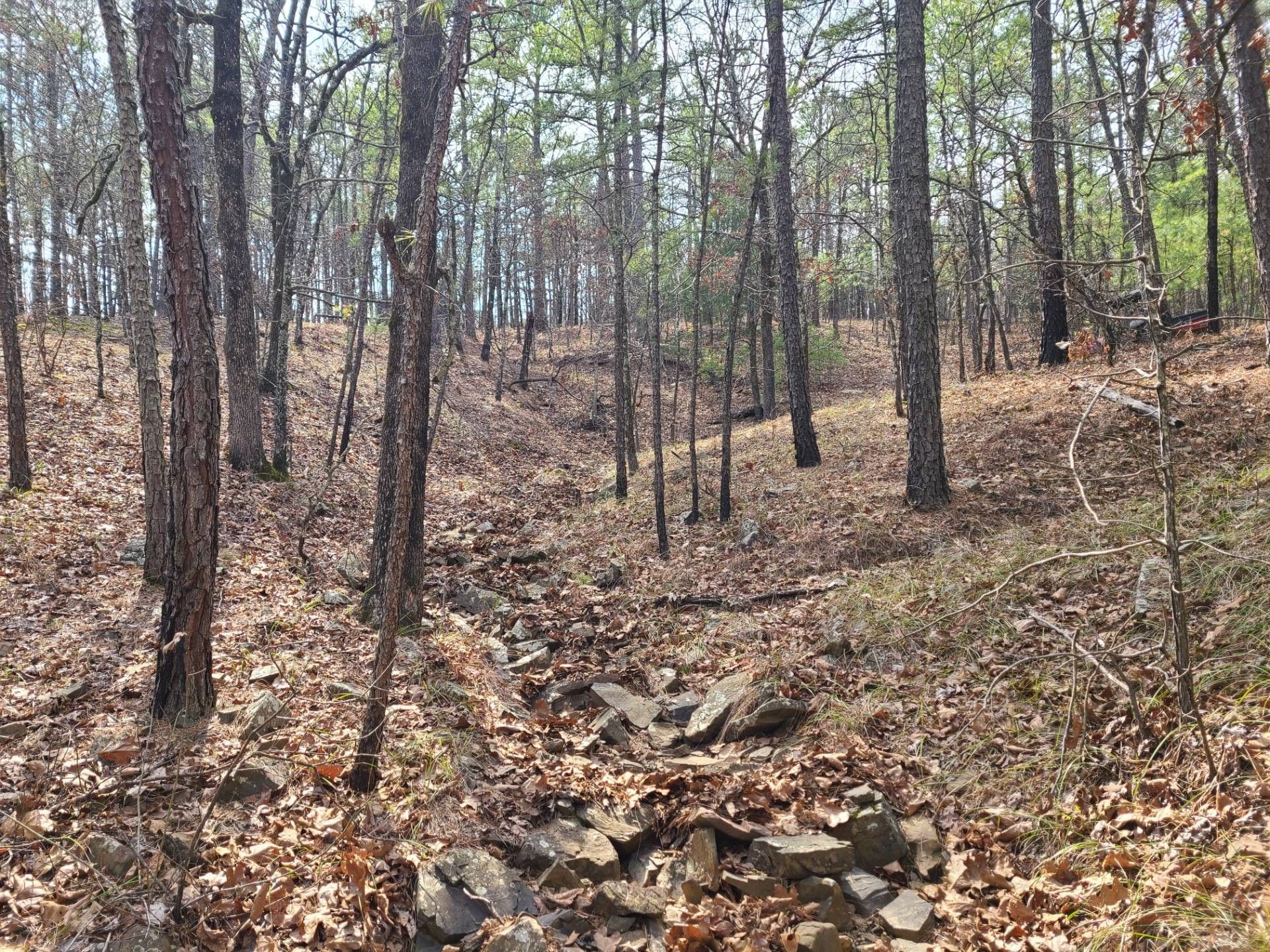 Talihina, Latimer County, OK Undeveloped Land, Lakefront Property