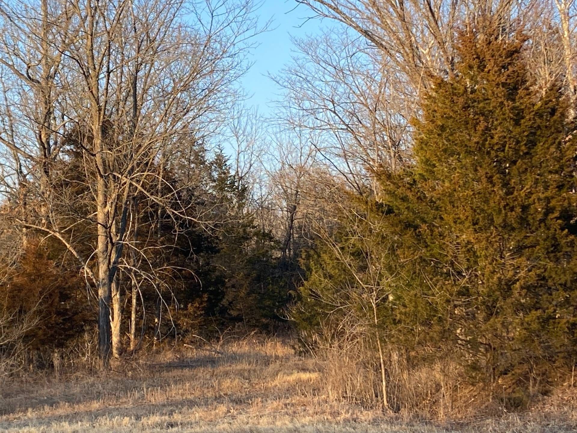 Vienna, Maries County, MO Undeveloped Land for sale Property ID 412954151 LandWatch