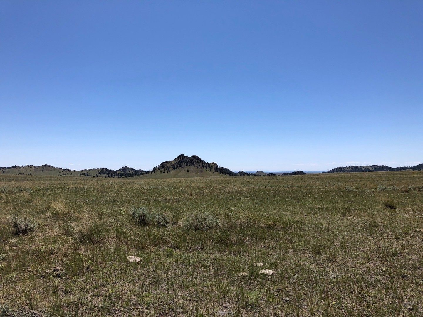 Chinook, Blaine County, MT Undeveloped Land for sale Property ID 337916742 LandWatch