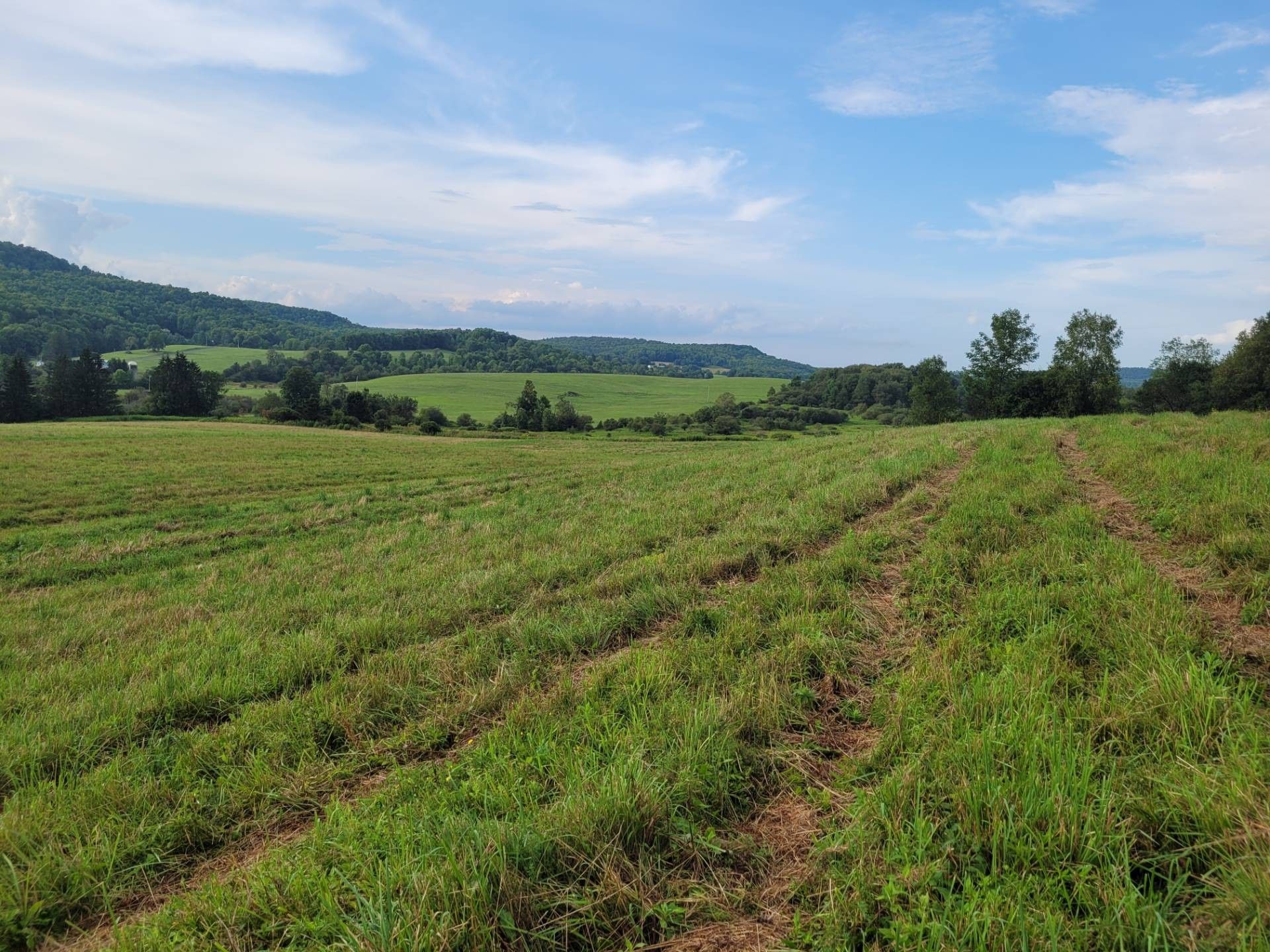 Burlington, Otsego County, NY Undeveloped Land for sale Property ID 411975175 LandWatch