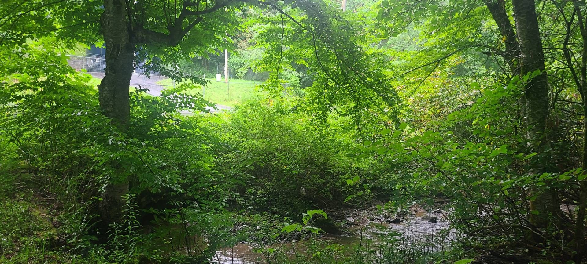 Cranberry, Avery County, NC Undeveloped Land for sale Property ID