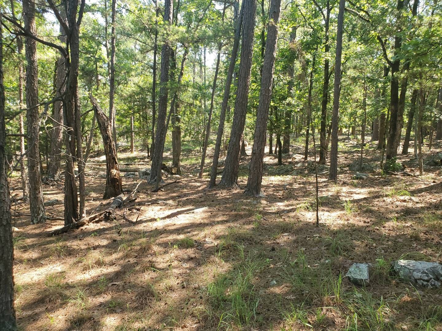 Moyers, Pushmataha County, OK Undeveloped Land, Homesites for sale