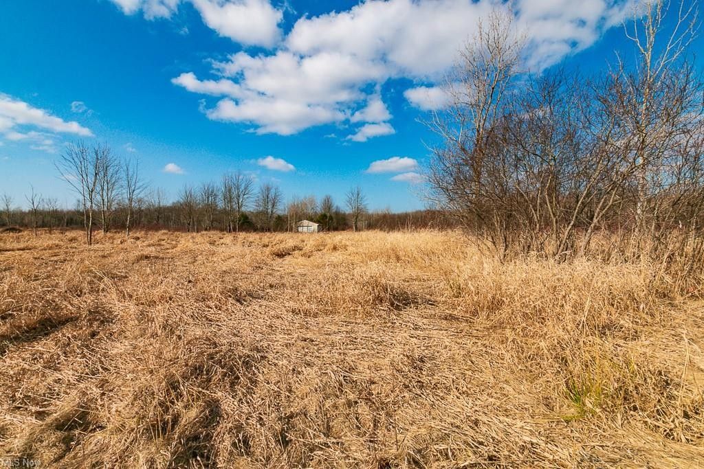 New Lyme, Ashtabula County, OH Undeveloped Land for sale Property ID