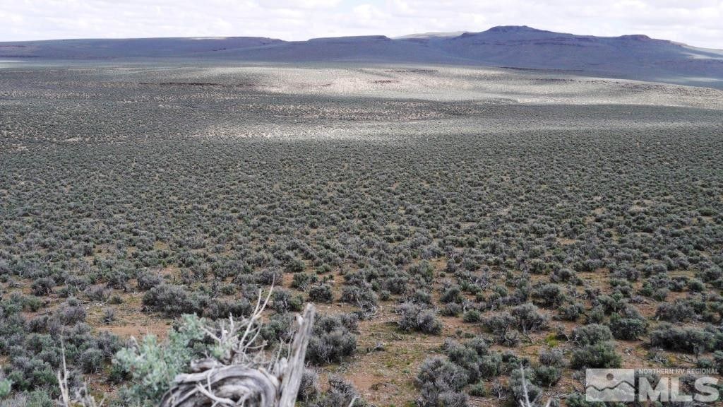 Gerlach, Washoe County, NV Undeveloped Land for sale Property ID