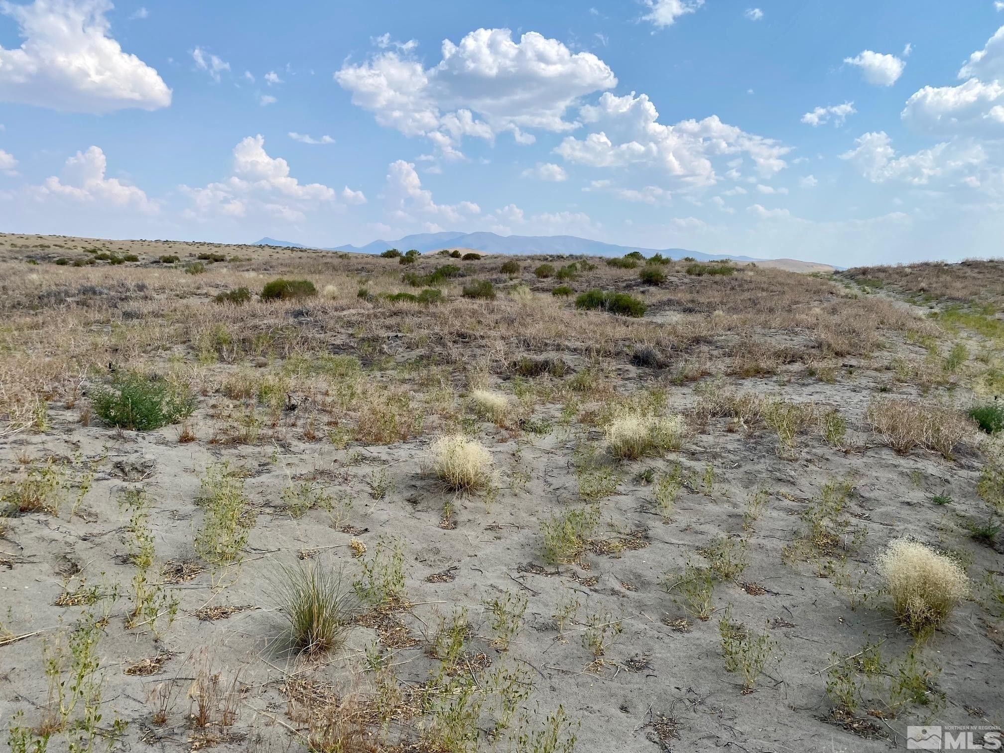 Winnemucca, Humboldt County, NV Farms and Ranches for sale Property ID
