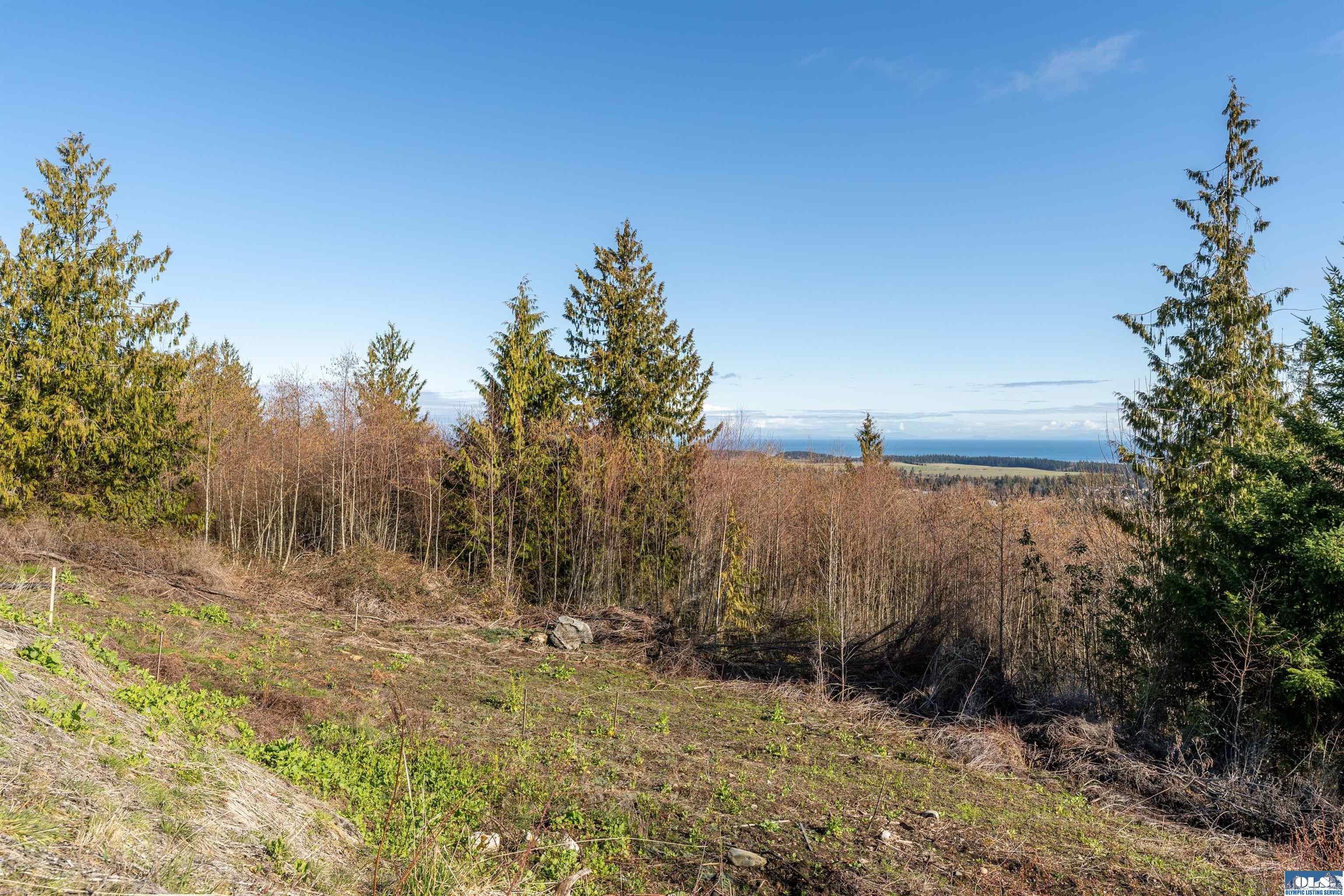 Sequim, Clallam County, WA Undeveloped Land, Homesites for sale