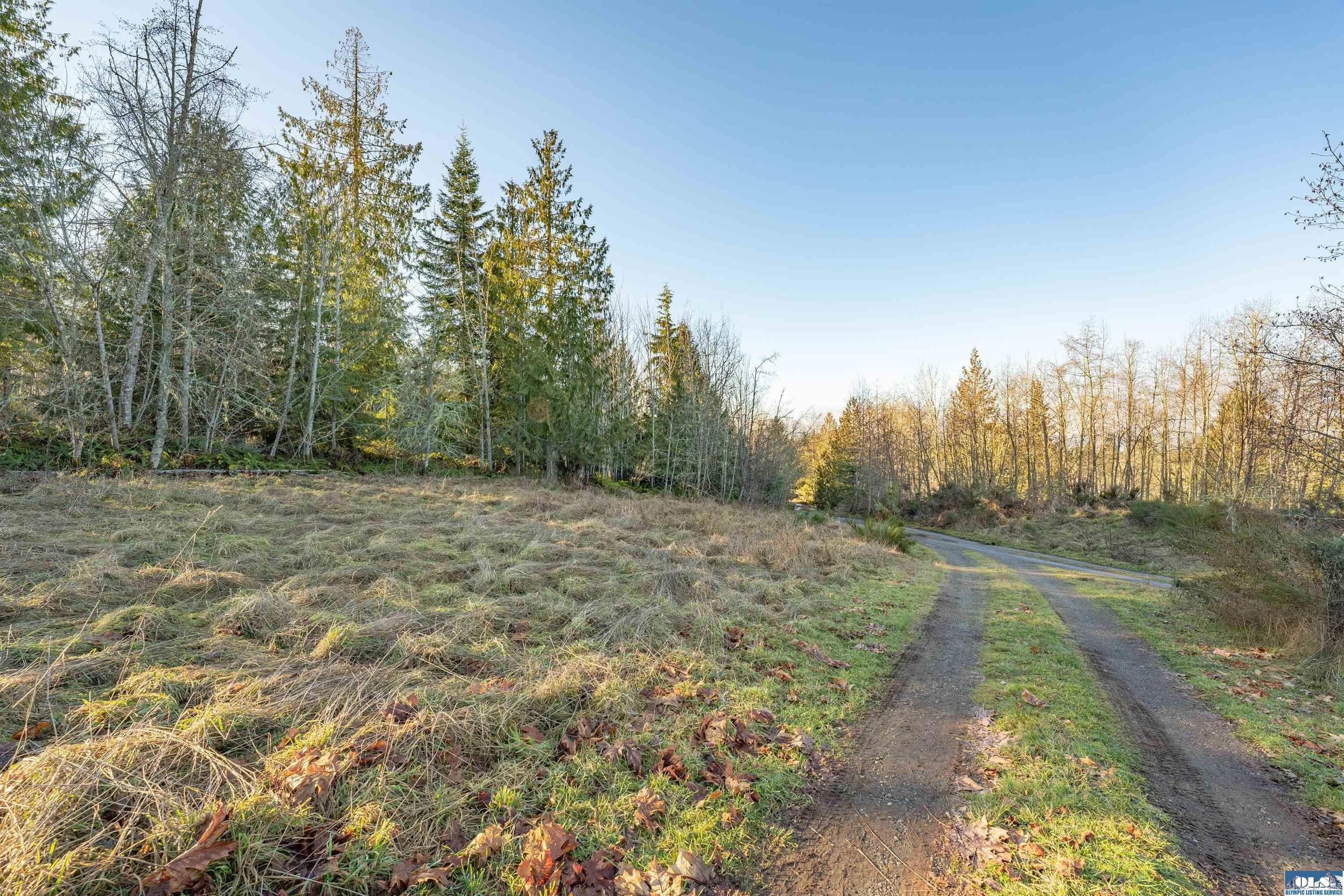 Port Angeles, Clallam County, WA Undeveloped Land, Homesites for sale