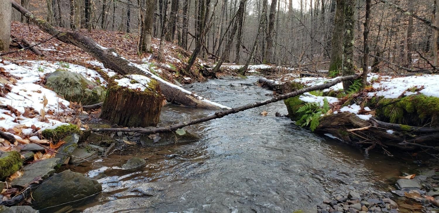 Laurens, Otsego County, NY Undeveloped Land for sale Property ID