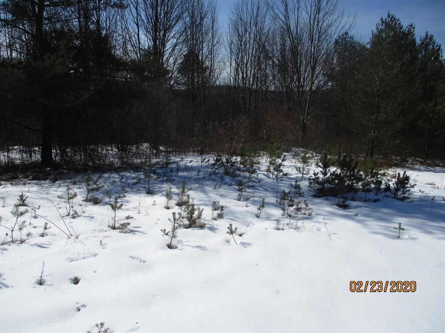 Windsor, Broome County, NY Commercial Property for sale Property ID