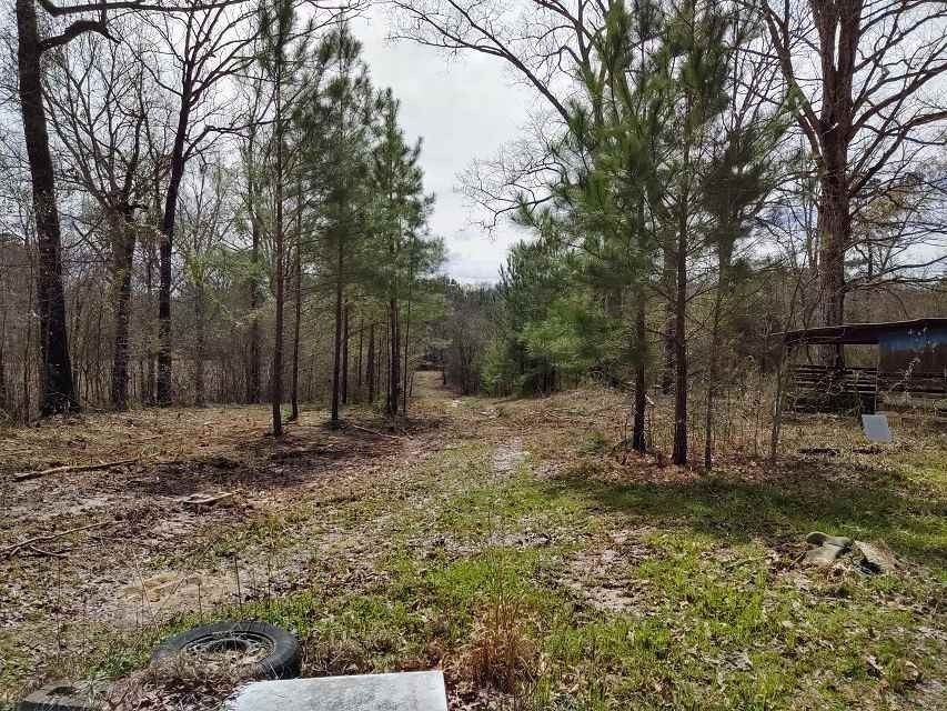 Pearl, Rankin County, MS Commercial Property, House for sale Property