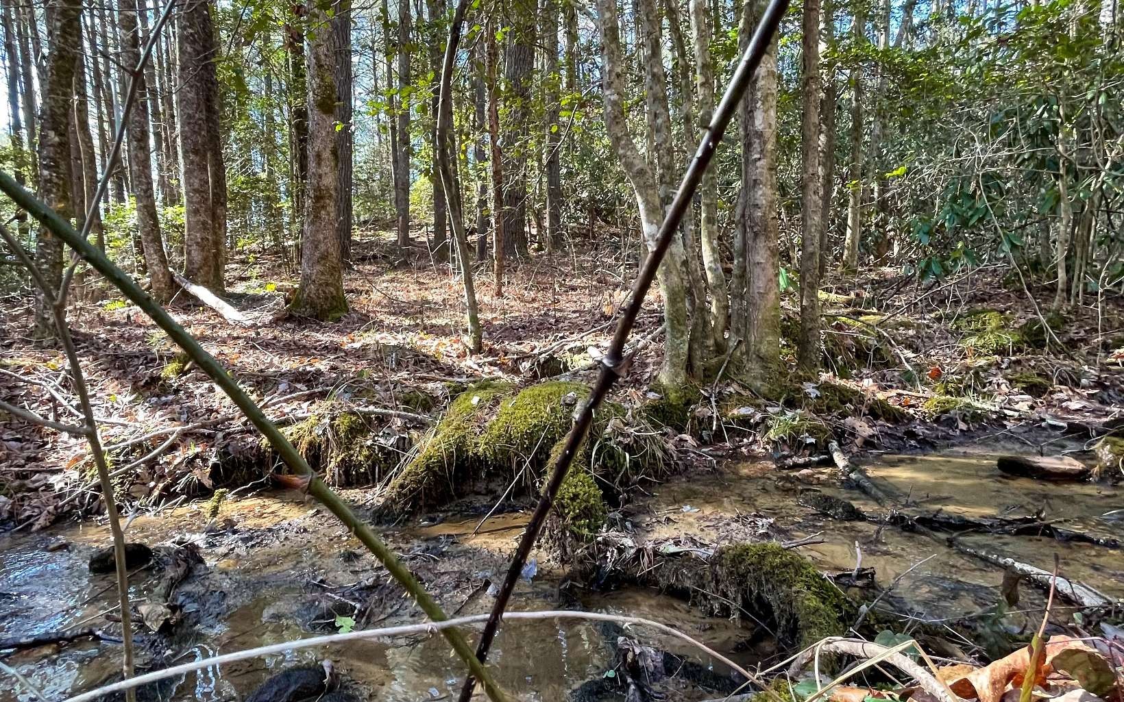 Murphy, Cherokee County, NC Undeveloped Land for sale Property ID