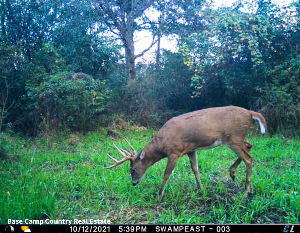 Walkerton, LaPorte County, IN Recreational Property, Undeveloped Land