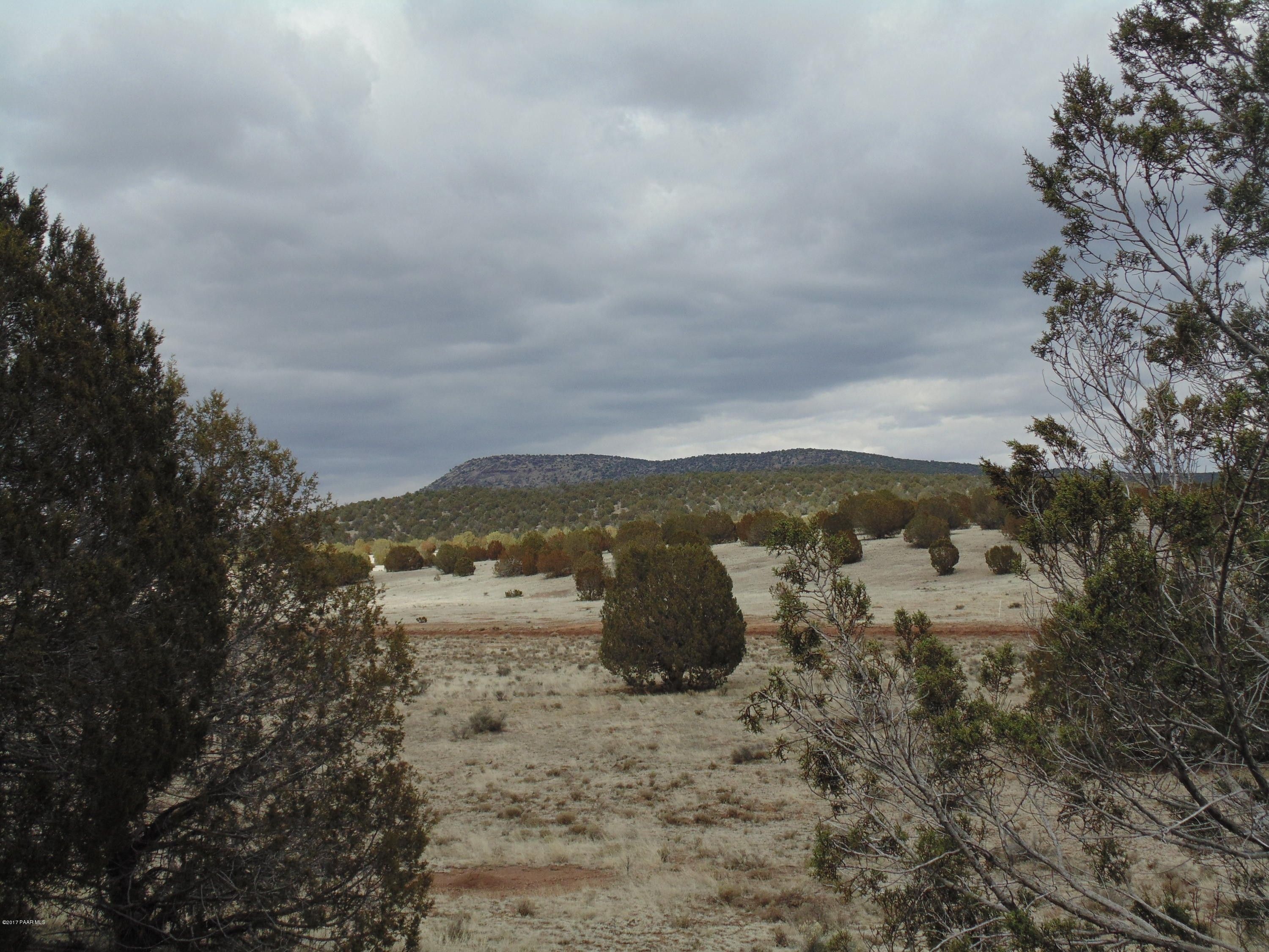 Seligman, Yavapai County, AZ Undeveloped Land for sale Property ID