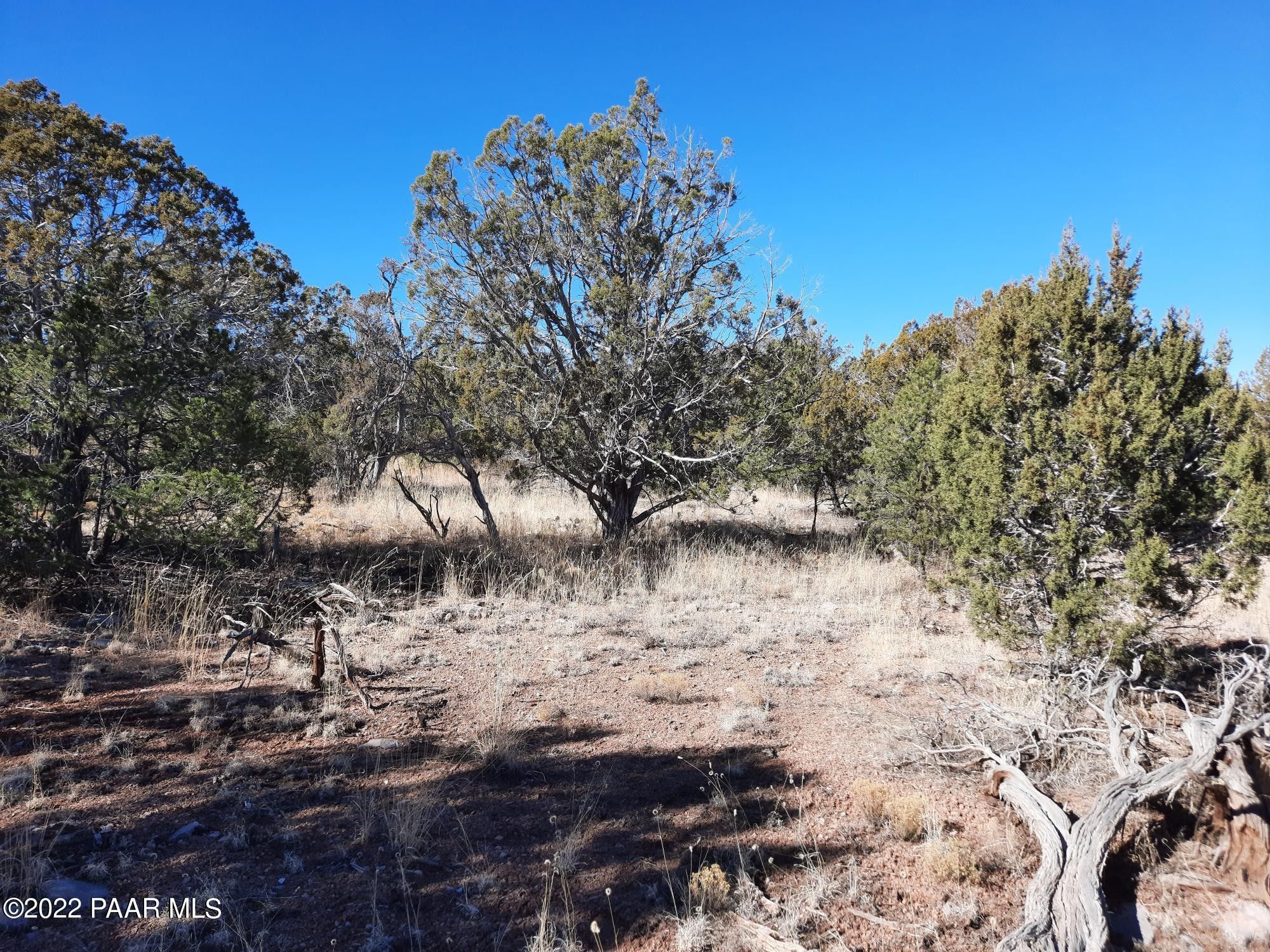 Seligman, Yavapai County, AZ Undeveloped Land for sale Property ID