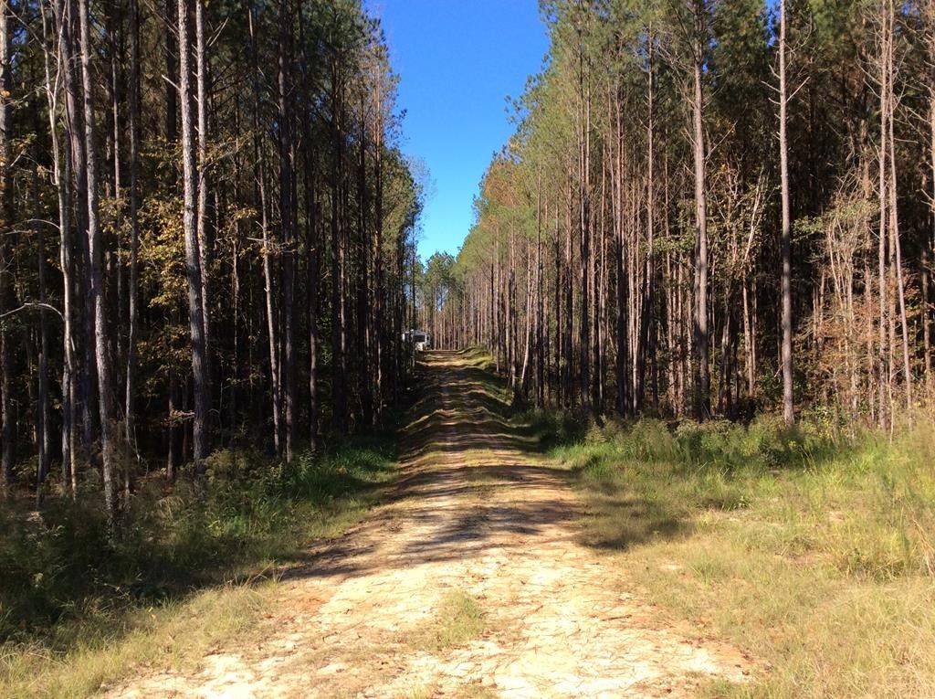 Brantley, Crenshaw County, AL Undeveloped Land for sale Property ID
