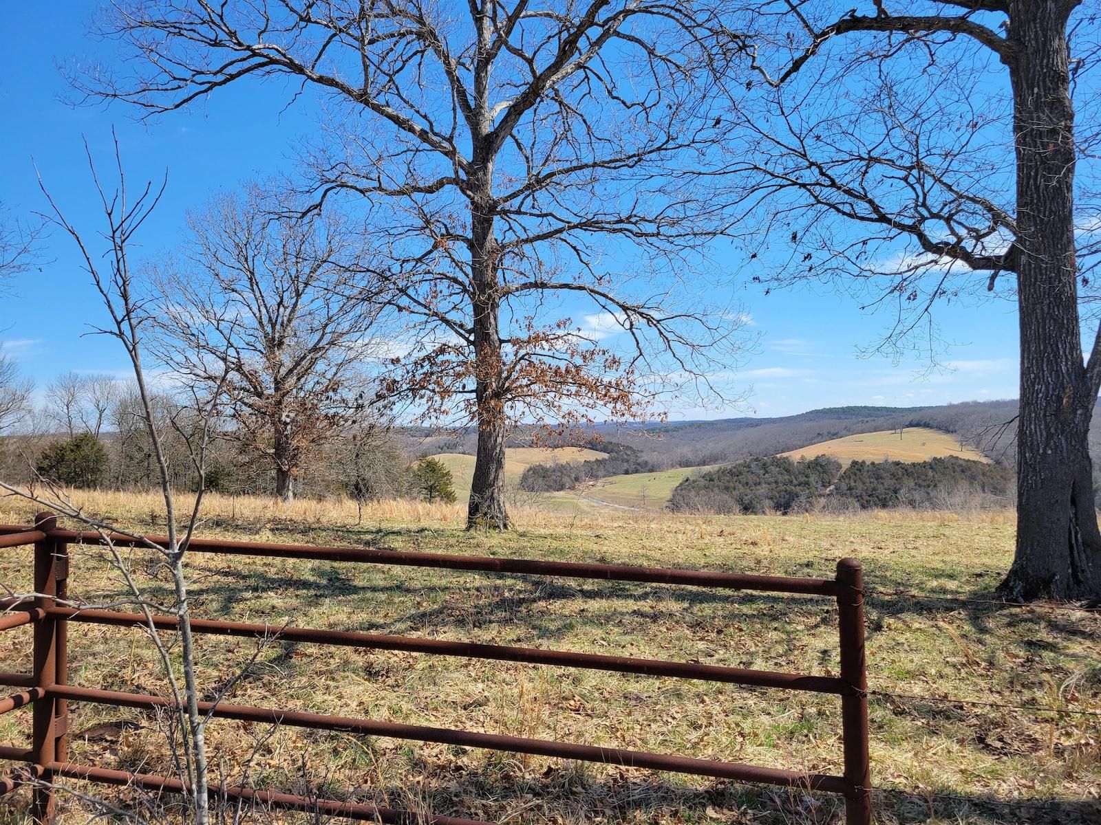 Thornfield, Ozark County, MO Timberland Property, Undeveloped Land